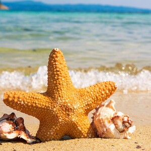Sommer-Betriebsurlaub